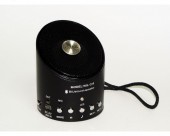 Bluetooth Radio MP3 Mini boxa portabila Wster WS Q10